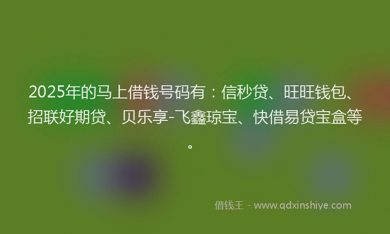 2025年的马上借钱号码有：信秒贷、旺旺钱包、招联好期贷、贝乐享-飞鑫琼宝、快借易贷宝盒等。
