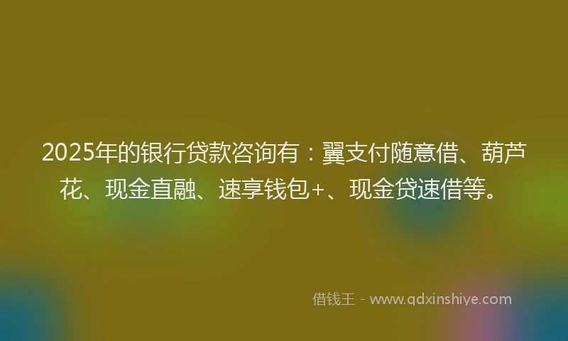2025年的银行贷款咨询有：翼支付随意借、葫芦花、现金直融、速享钱包+、现金贷速借等。