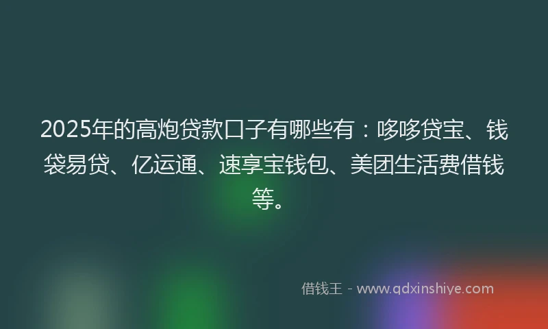 2025年的高炮贷款口子有哪些有：哆哆贷宝、钱袋易贷、亿运通、速享宝钱包、美团生活费借钱等。