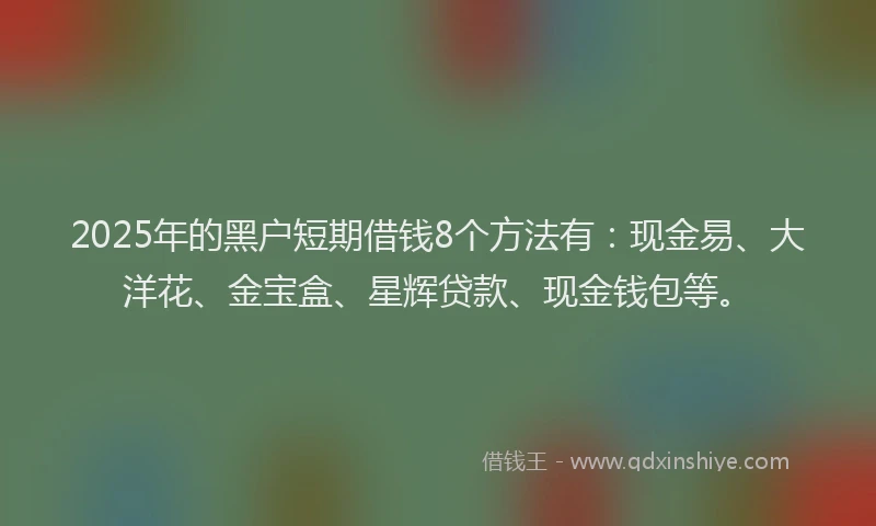 2025年的黑户短期借钱8个方法有：现金易、大洋花、金宝盒、星辉贷款、现金钱包等。