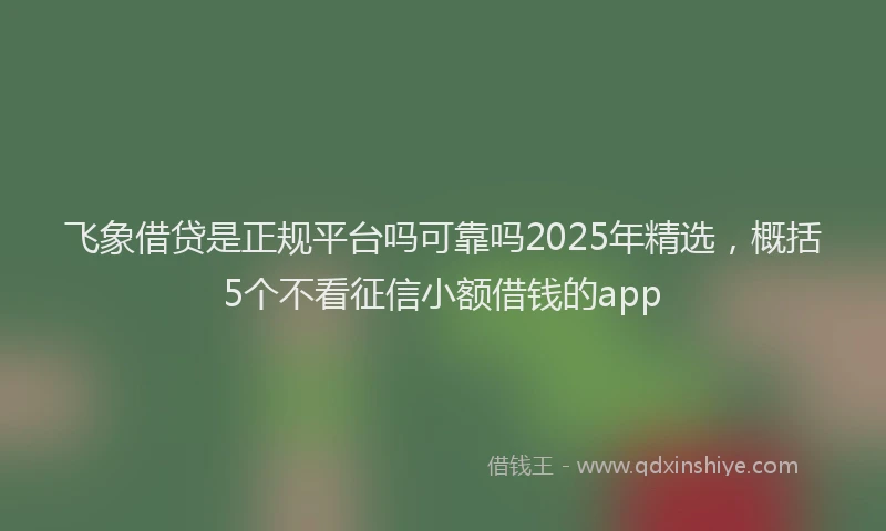 飞象借贷是正规平台吗可靠吗2025年精选，概括5个不看征信小额借钱的app