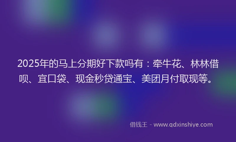 2025年的马上分期好下款吗有：牵牛花、林林借呗、宜口袋、现金秒贷通宝、美团月付取现等。