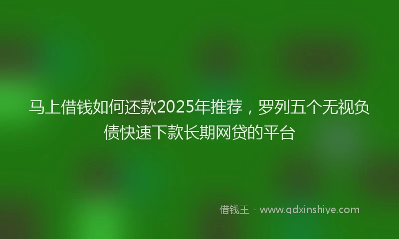 马上借钱如何还款2025年推荐，罗列五个无视负债快速下款长期网贷的平台