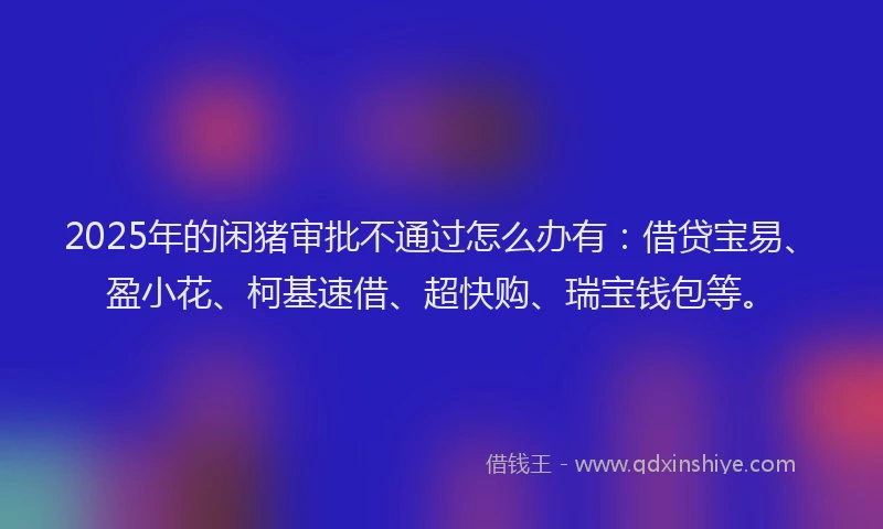2025年的闲猪审批不通过怎么办有：借贷宝易、盈小花、柯基速借、超快购、瑞宝钱包等。