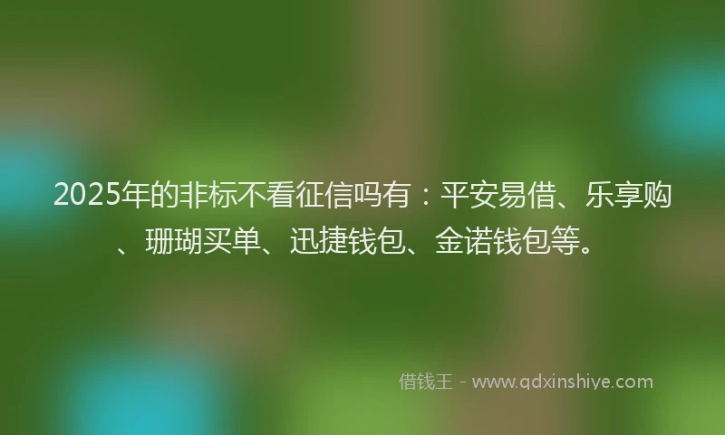 2025年的非标不看征信吗有：平安易借、乐享购、珊瑚买单、迅捷钱包、金诺钱包等。