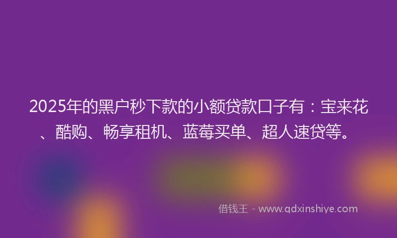 2025年的黑户秒下款的小额贷款口子有：宝来花、酷购、畅享租机、蓝莓买单、超人速贷等。