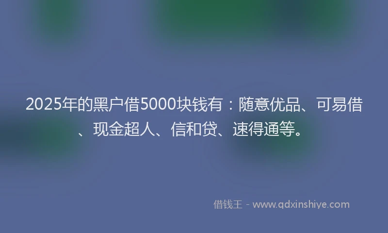 2025年的黑户借5000块钱有：随意优品、可易借、现金超人、信和贷、速得通等。