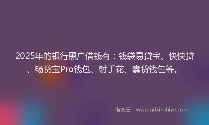 2025年的银行黑户借钱有：钱袋易贷宝、快快贷、畅贷宝Pro钱包、射手花、鑫贷钱包等。
