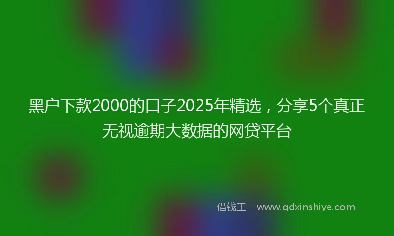 黑户下款2000的口子2025年精选，分享5个真正无视逾期大数据的网贷平台