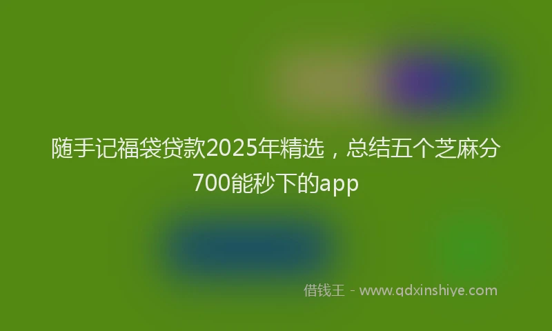 随手记福袋贷款2025年精选，总结五个芝麻分700能秒下的app