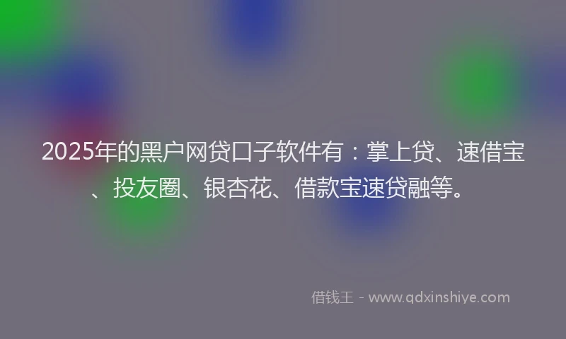 2025年的黑户网贷口子软件有：掌上贷、速借宝、投友圈、银杏花、借款宝速贷融等。