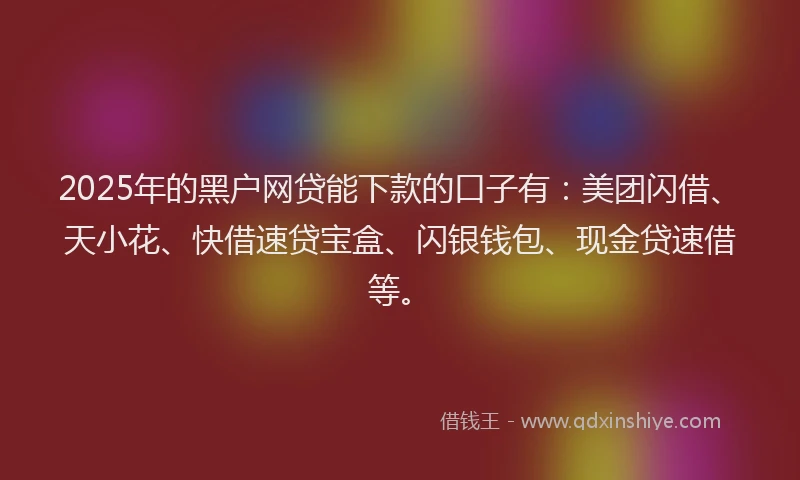 2025年的黑户网贷能下款的口子有：美团闪借、天小花、快借速贷宝盒、闪银钱包、现金贷速借等。