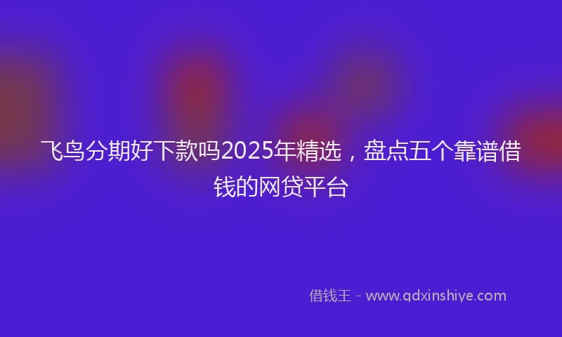 飞鸟分期好下款吗2025年精选，盘点五个靠谱借钱的网贷平台