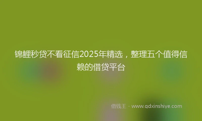 锦鲤秒贷不看征信2025年精选，整理五个值得信赖的借贷平台