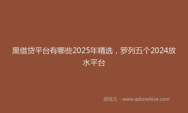 黑借贷平台有哪些2025年精选，罗列五个2024放水平台
