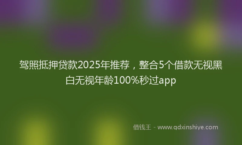 驾照抵押贷款2025年推荐，整合5个借款无视黑白无视年龄100%秒过app