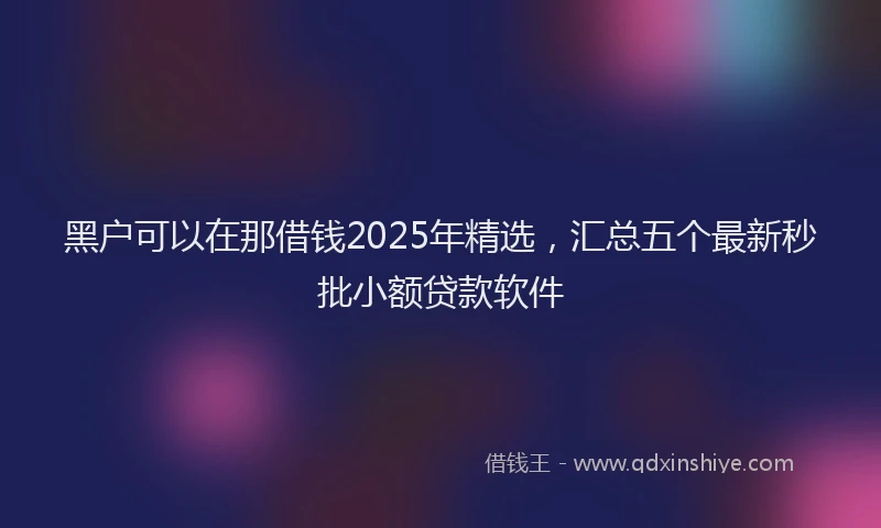 黑户可以在那借钱2025年精选，汇总五个最新秒批小额贷款软件