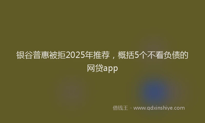 银谷普惠被拒2025年推荐，概括5个不看负债的网贷app