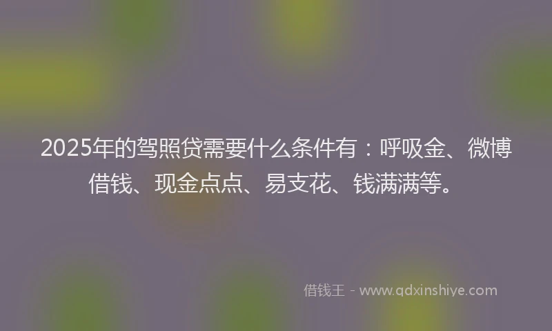 2025年的驾照贷需要什么条件有：呼吸金、微博借钱、现金点点、易支花、钱满满等。