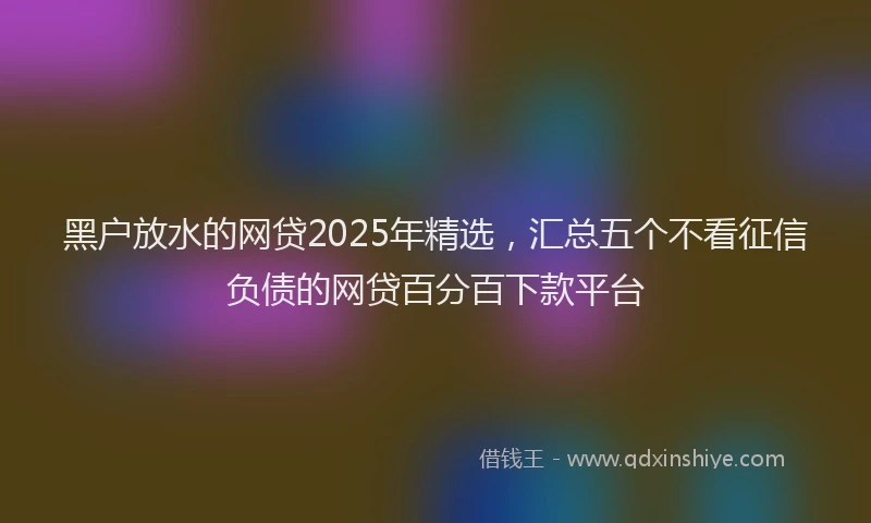 黑户放水的网贷2025年精选，汇总五个不看征信负债的网贷百分百下款平台