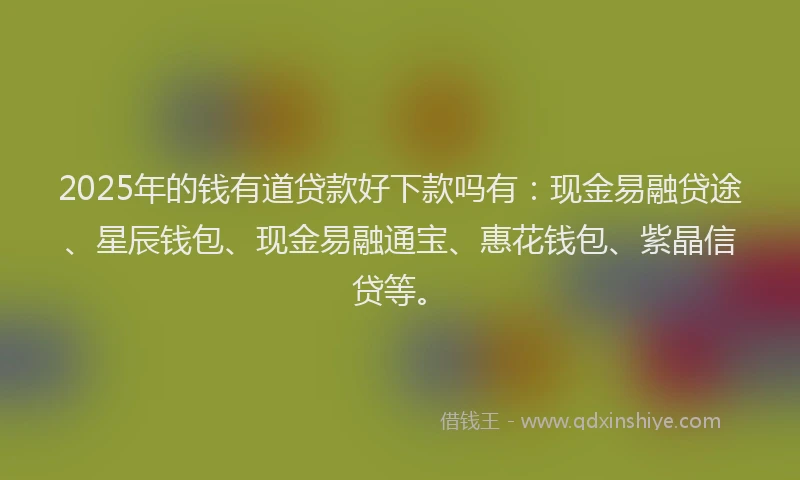 2025年的钱有道贷款好下款吗有：现金易融贷途、星辰钱包、现金易融通宝、惠花钱包、紫晶信贷等。