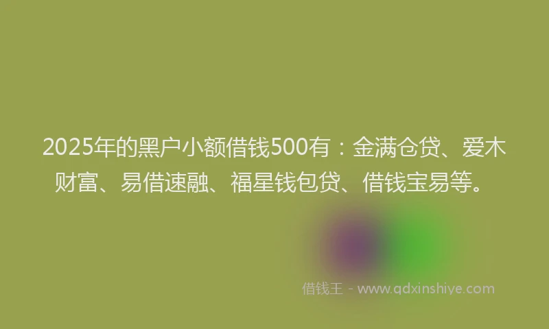 2025年的黑户小额借钱500有：金满仓贷、爱木财富、易借速融、福星钱包贷、借钱宝易等。
