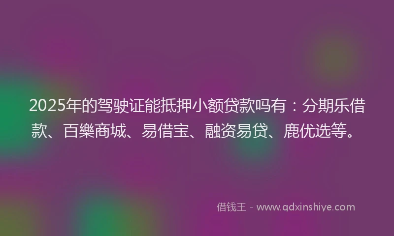 2025年的驾驶证能抵押小额贷款吗有：分期乐借款、百樂商城、易借宝、融资易贷、鹿优选等。
