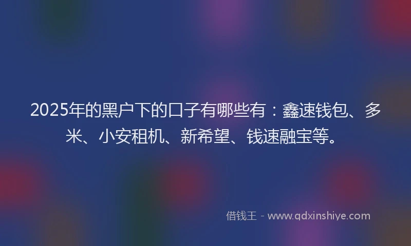 2025年的黑户下的口子有哪些有：鑫速钱包、多米、小安租机、新希望、钱速融宝等。