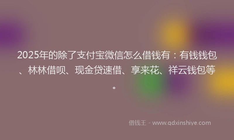 2025年的除了支付宝微信怎么借钱有：有钱钱包、林林借呗、现金贷速借、享来花、祥云钱包等。