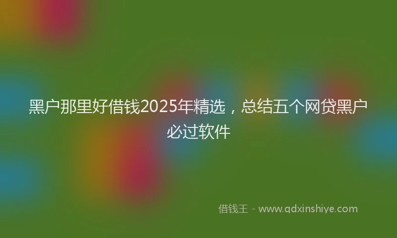 黑户那里好借钱2025年精选，总结五个网贷黑户必过软件