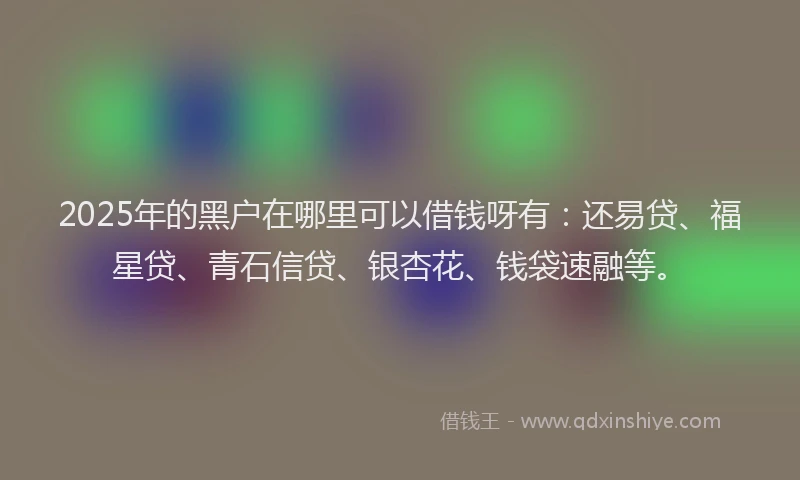 2025年的黑户在哪里可以借钱呀有：还易贷、福星贷、青石信贷、银杏花、钱袋速融等。