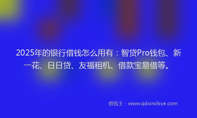 2025年的银行借钱怎么用有：智贷Pro钱包、新一花、日日贷、友福租机、借款宝易借等。