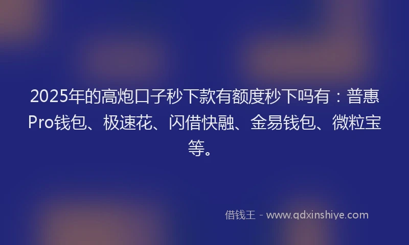 2025年的高炮口子秒下款有额度秒下吗有：普惠Pro钱包、极速花、闪借快融、金易钱包、微粒宝等。