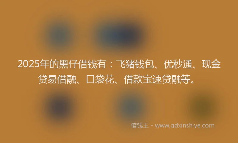 2025年的黑仔借钱有：飞猪钱包、优秒通、现金贷易借融、口袋花、借款宝速贷融等。