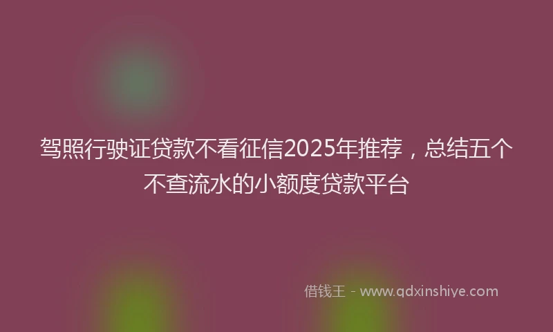 驾照行驶证贷款不看征信2025年推荐，总结五个不查流水的小额度贷款平台