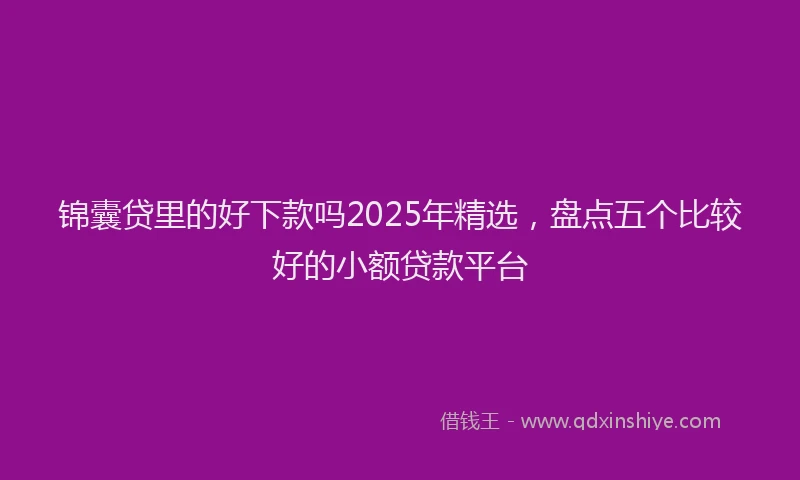 锦囊贷里的好下款吗2025年精选，盘点五个比较好的小额贷款平台