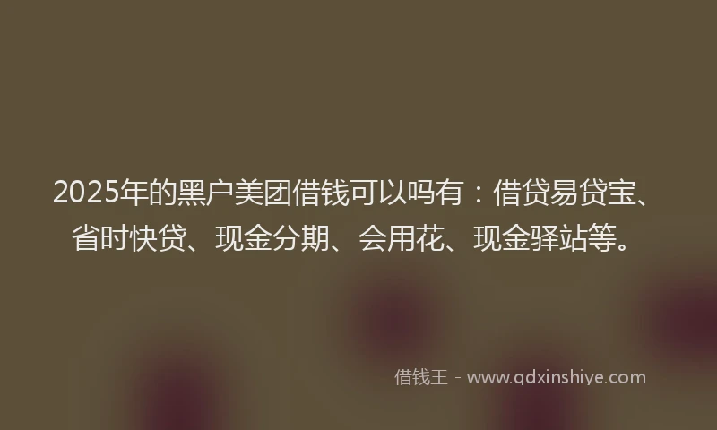 2025年的黑户美团借钱可以吗有：借贷易贷宝、省时快贷、现金分期、会用花、现金驿站等。