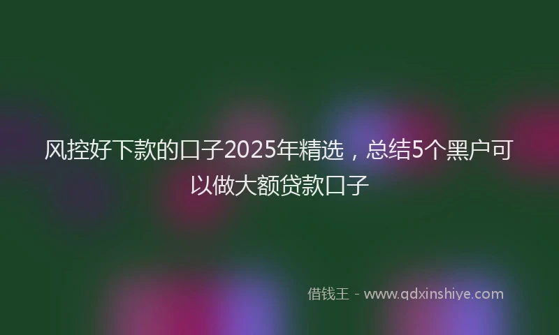 风控好下款的口子2025年精选，总结5个黑户可以做大额贷款口子