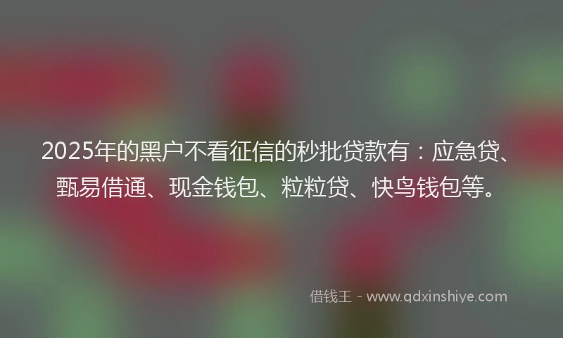 2025年的黑户不看征信的秒批贷款有：应急贷、甄易借通、现金钱包、粒粒贷、快鸟钱包等。