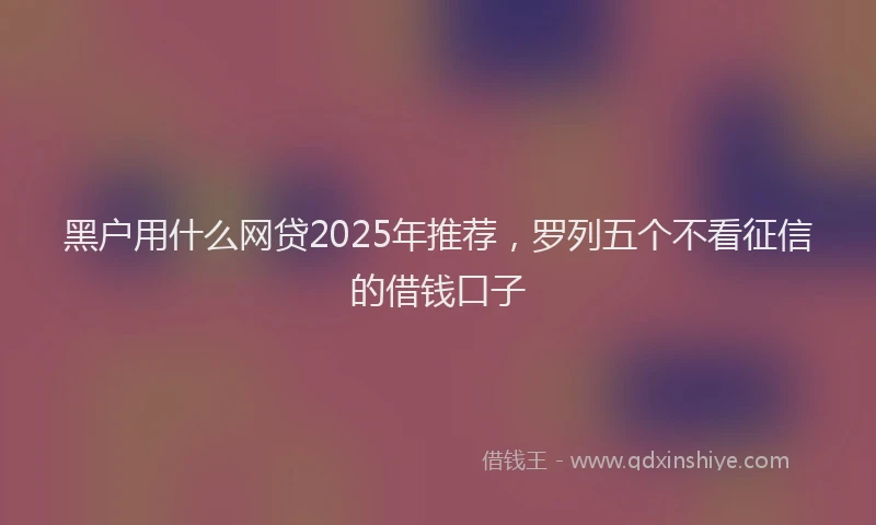 黑户用什么网贷2025年推荐，罗列五个不看征信的借钱口子