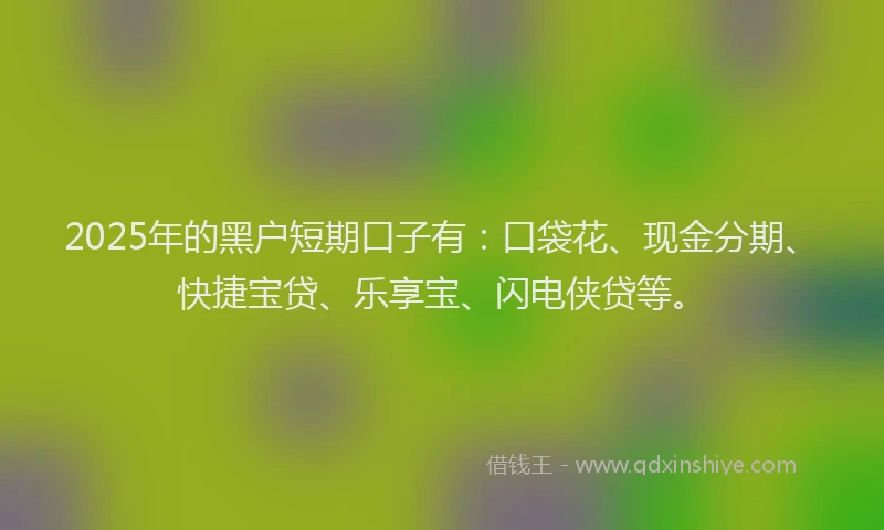 2025年的黑户短期口子有：口袋花、现金分期、快捷宝贷、乐享宝、闪电侠贷等。