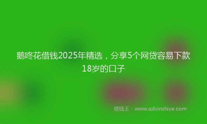 鹅咚花借钱2025年精选，分享5个网贷容易下款18岁的口子