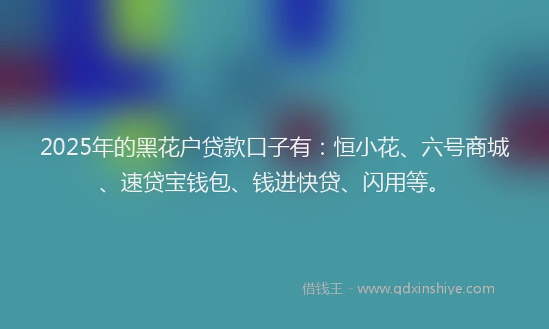 2025年的黑花户贷款口子有：恒小花、六号商城、速贷宝钱包、钱进快贷、闪用等。