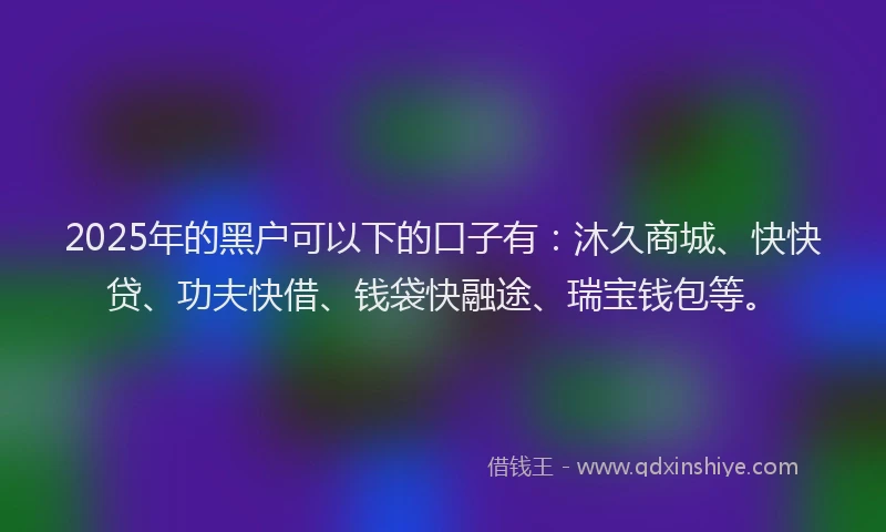 2025年的黑户可以下的口子有：沐久商城、快快贷、功夫快借、钱袋快融途、瑞宝钱包等。