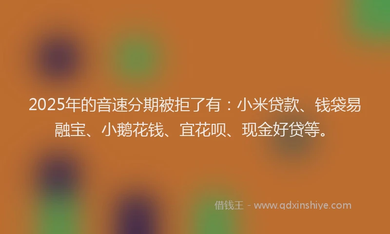 2025年的音速分期被拒了有：小米贷款、钱袋易融宝、小鹅花钱、宜花呗、现金好贷等。