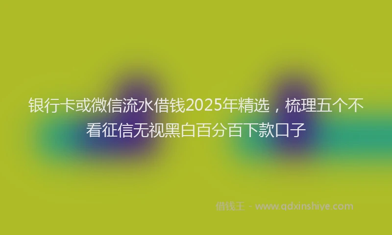 银行卡或微信流水借钱2025年精选，梳理五个不看征信无视黑白百分百下款口子