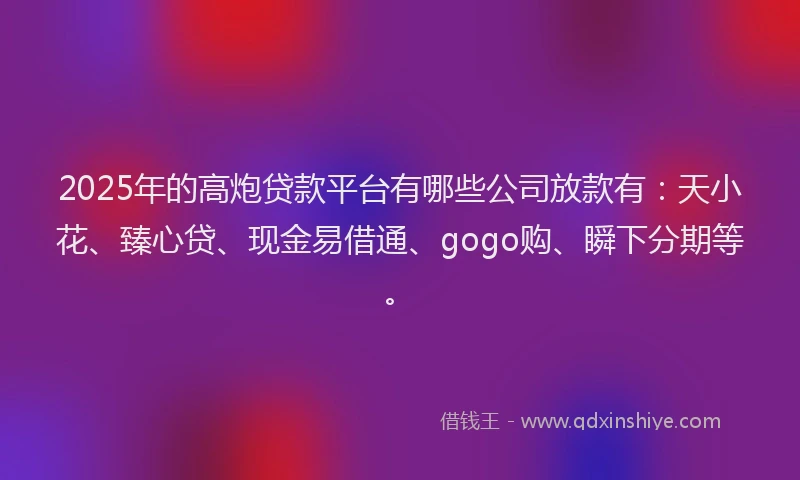 2025年的高炮贷款平台有哪些公司放款有：天小花、臻心贷、现金易借通、gogo购、瞬下分期等。