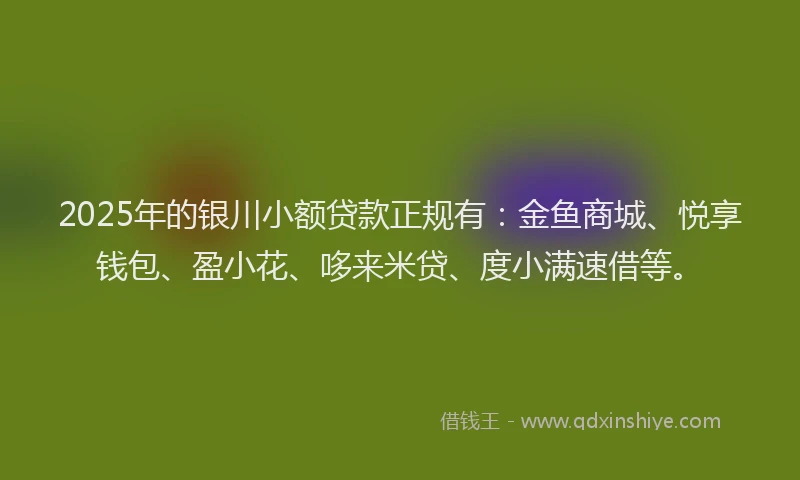 2025年的银川小额贷款正规有：金鱼商城、悦享钱包、盈小花、哆来米贷、度小满速借等。