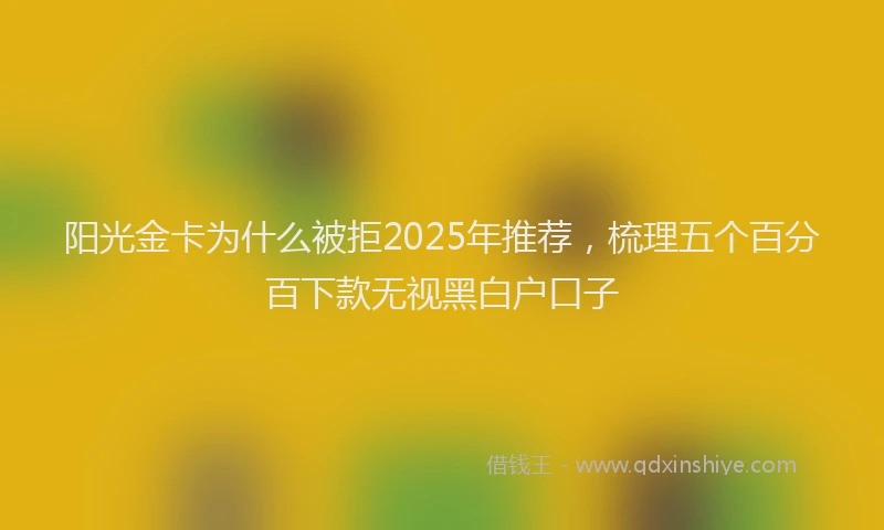 阳光金卡为什么被拒2025年推荐，梳理五个百分百下款无视黑白户口子
