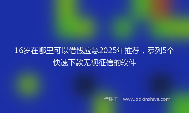 16岁在哪里可以借钱应急2025年推荐，罗列5个快速下款无视征信的软件